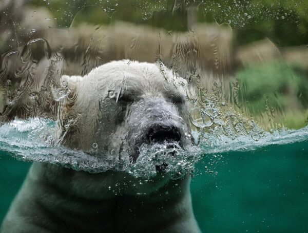 DÍA CONTRA EL CAMBIO CLIMÁTICO: CONCIENTIZACIÓN Y ACCIÓN
