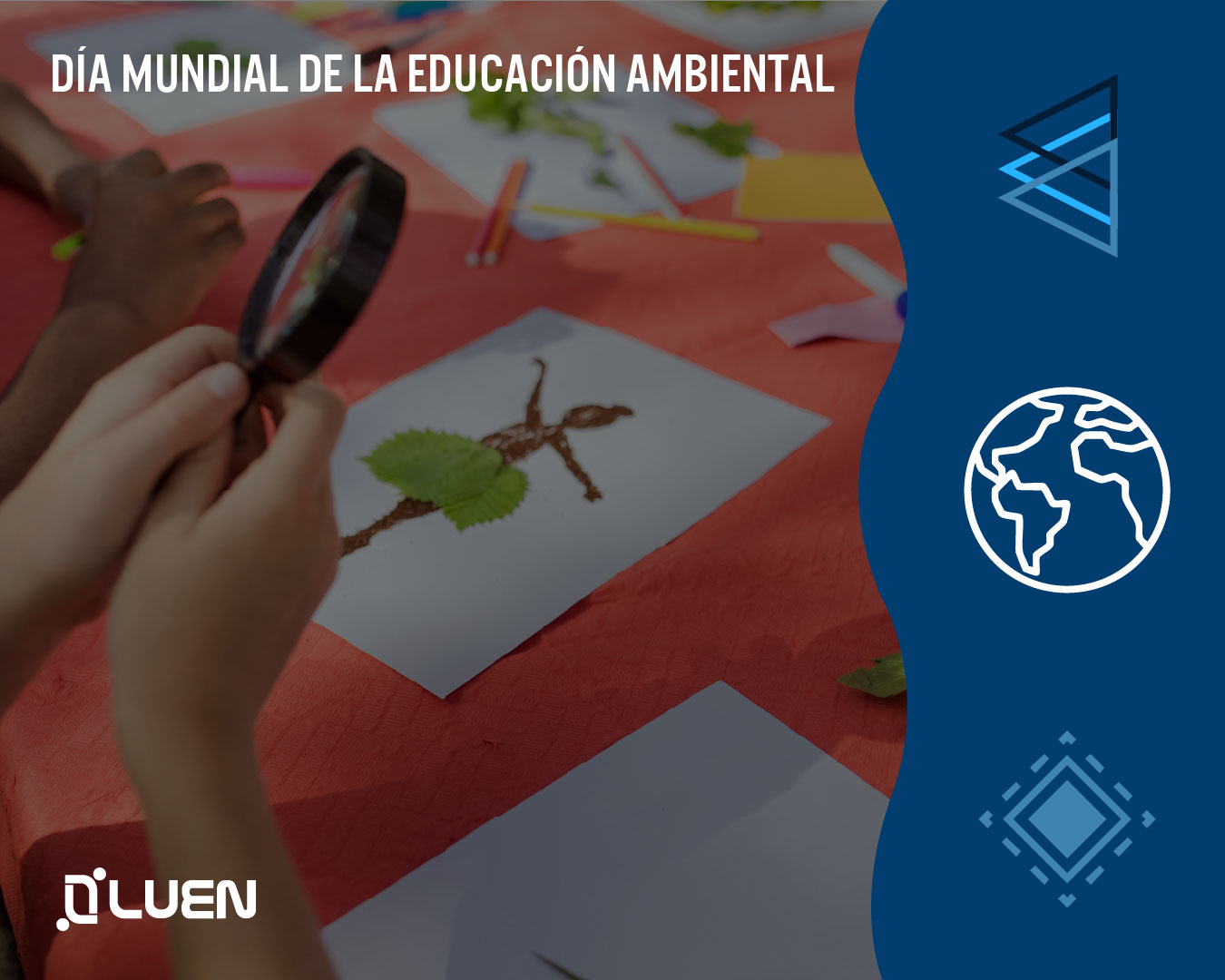día mundial de la educación ambiental luen blog