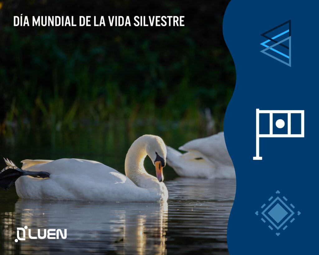 Dia mundial vida silvestre